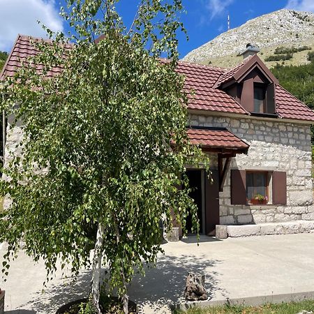 Lovcen Holiday Home Cetinje Dış mekan fotoğraf