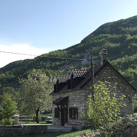 Lovcen Holiday Home Cetinje Dış mekan fotoğraf