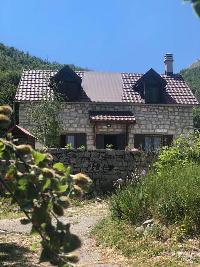 Lovcen Holiday Home Cetinje Dış mekan fotoğraf