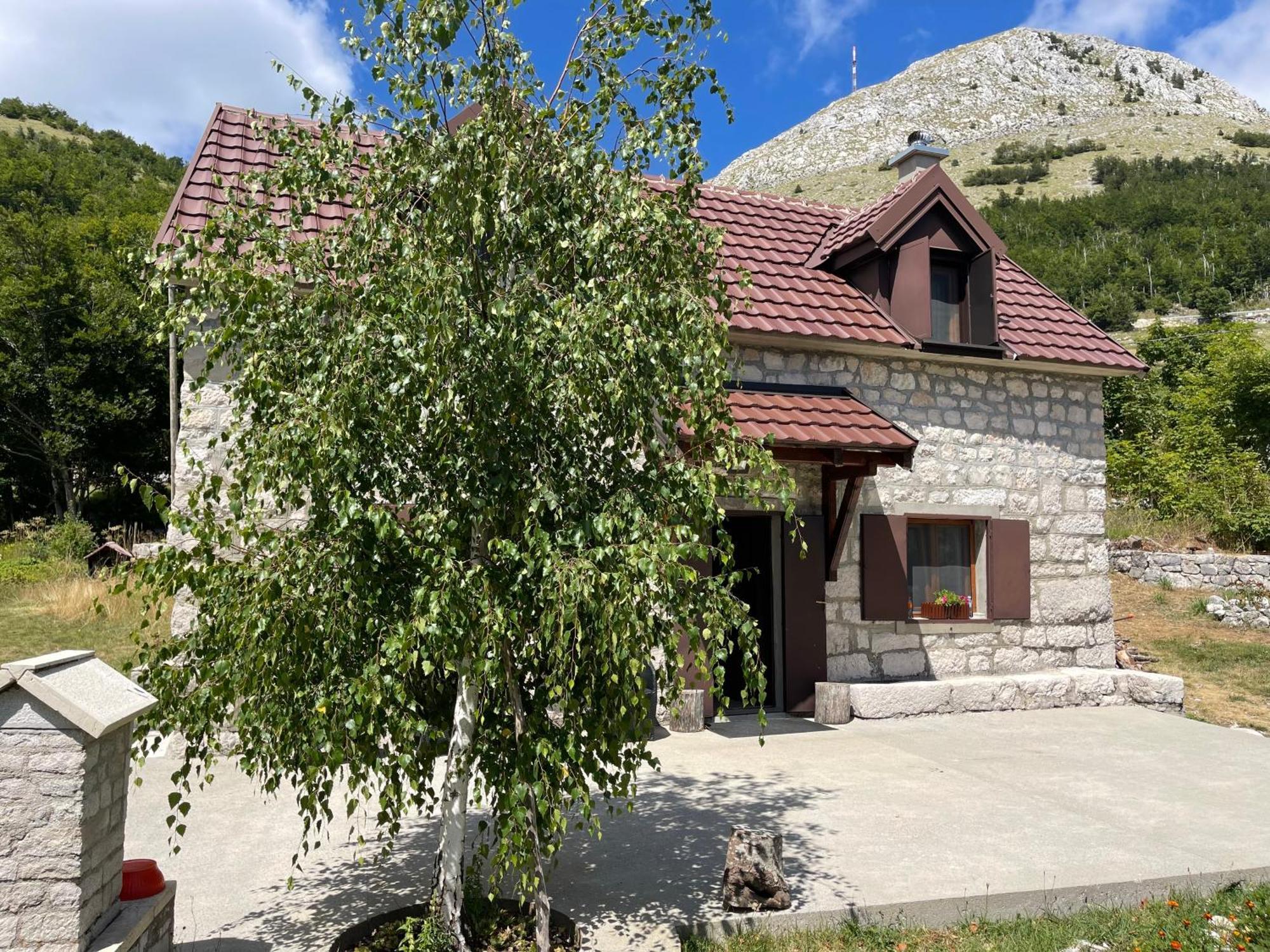 Lovcen Holiday Home Cetinje Dış mekan fotoğraf