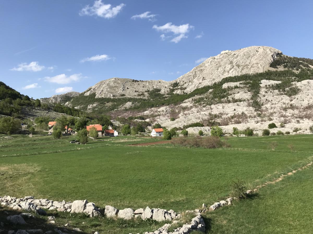 Lovcen Holiday Home Cetinje Dış mekan fotoğraf