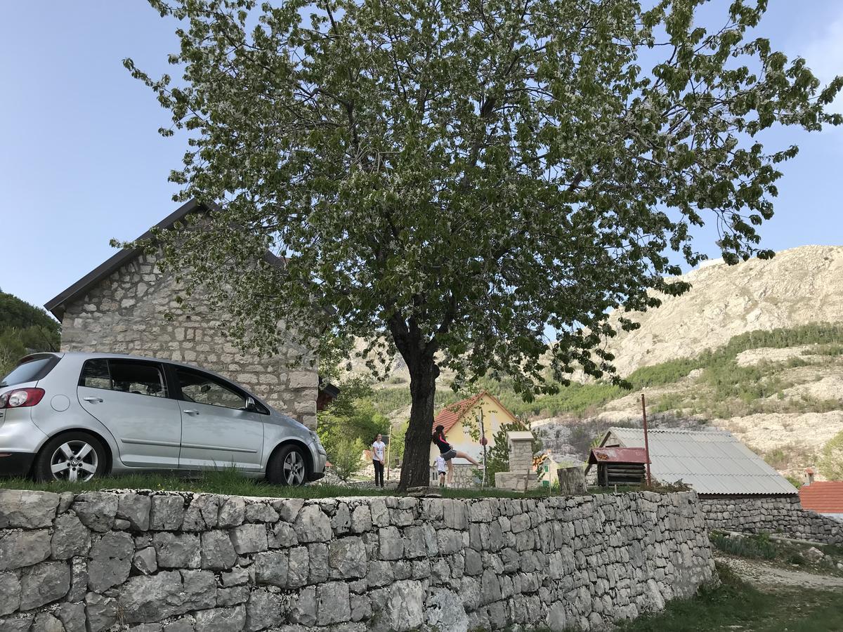 Lovcen Holiday Home Cetinje Dış mekan fotoğraf