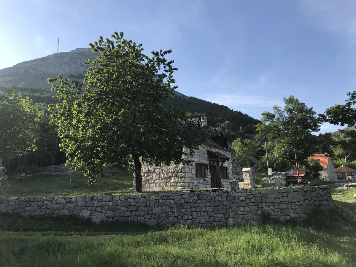 Lovcen Holiday Home Cetinje Dış mekan fotoğraf